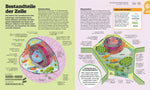 #dkinfografik. Biologie einfach erklärt