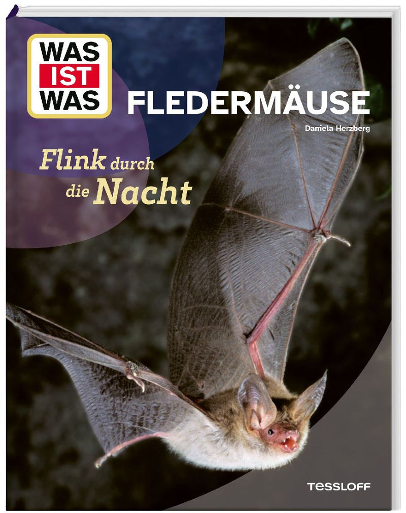 WAS IST WAS Fledermäuse. Flink durch die Nacht