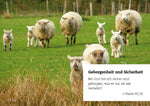 365 Verheißungen
