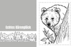 Bärenträume - Entspannung - Natur - Achtsamkeit