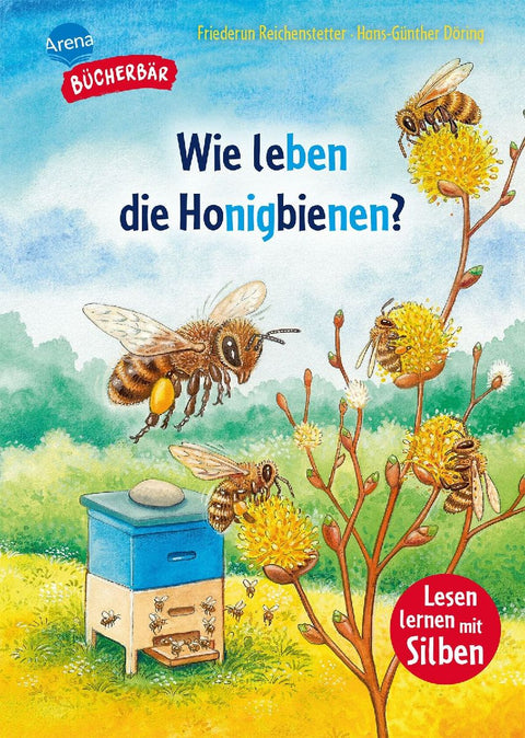 Wie leben die Honigbienen?