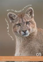 Tierisch cool! 2027