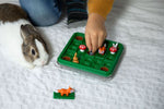 So hüpft der Hase (Innenansicht)