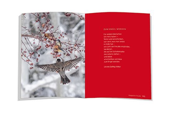 24 Adventspausen (Innenansicht)