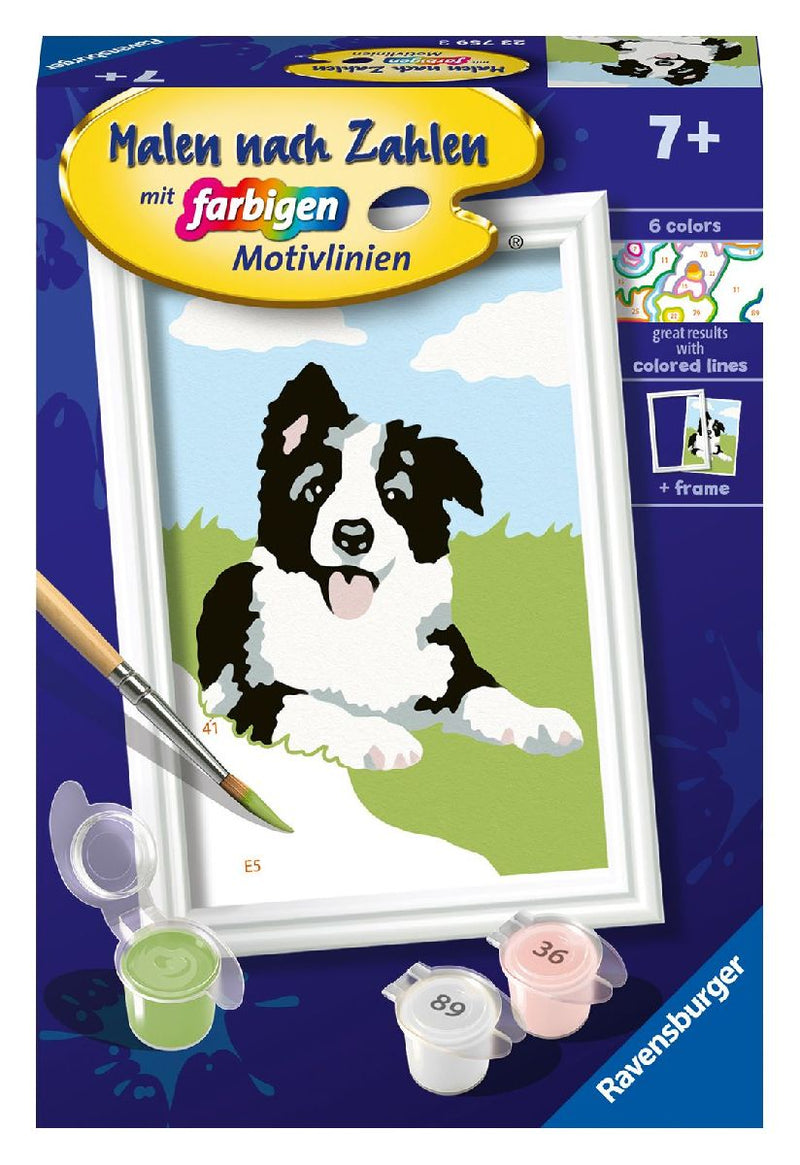 CreArt, Malen nach Zahlen Kinder - Border Collie Welpe