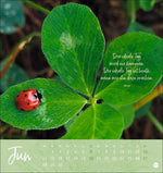 Tage voller Glück Postkartenkalender 2027