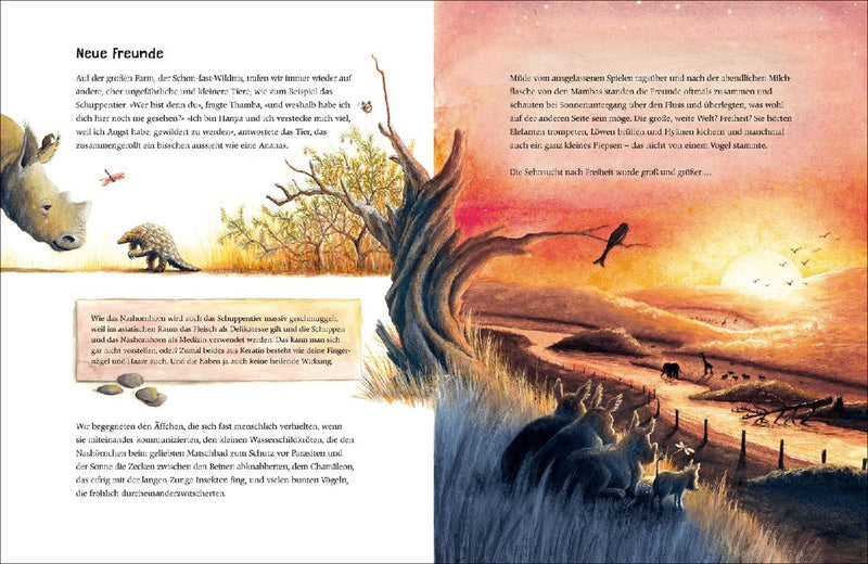 Thambas großes Abenteuer (Innenansicht)