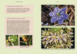 Gartenbotanik