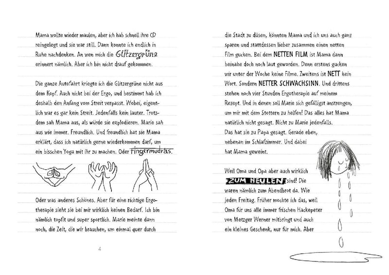 Tagebuch eines Überfliegers (Innenansicht)