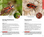 BASIC Insekten