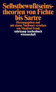 Selbstbewußtseinstheorien von Fichte bis Sartre