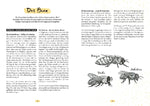Mein Bienenjahr