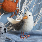 Küstenschätzchen, Möwe