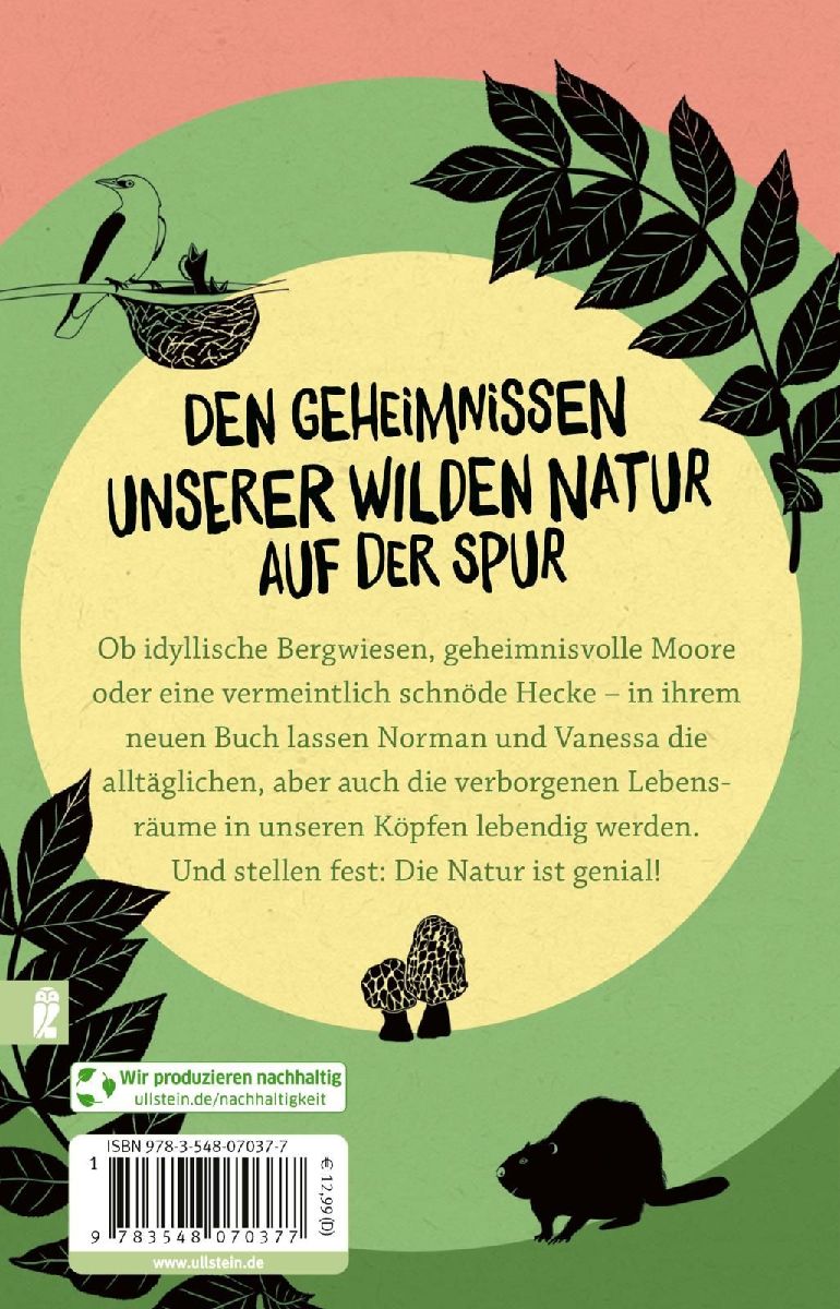 Fast zu wild, um wahr zu sein (Rückseite)