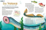 Stacheln, Schleim & spitze Zähne! Mein Bestiarium der außergewöhnlichen Tiere (Innenansicht)