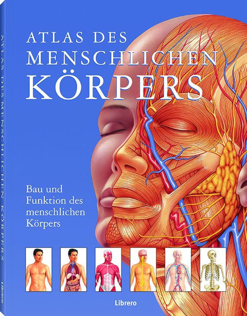 Atlas des menschlichen Körpers