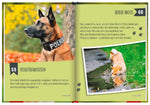 100 Dinge, die man von einem Hund lernen kann (Innenansicht)