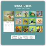 Kingfishers - Eisvögel 2027 - 16-Monatskalender