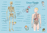 6 A1-Merk-Poster für den Sachunterricht  Jahreskreis, Körper, Waldtiere, Epochen, Kontinente, vom Korn zum Brot (Innenansicht)