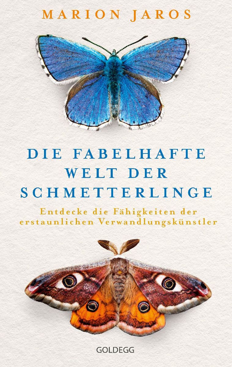 Die fabelhafte Welt der Schmetterlinge