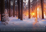 Wald - Erholung für Mensch und Tier - 2027 - Kalender DIN A2