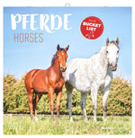 Pferde 2027