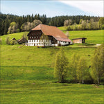 Schwarzwald 2027