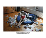 Der herabschauende Hund