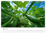 Gemüsegarten - Gemüse aus dem eigenen Garten (Wandkalender 2027 DIN A4 quer), CALVENDO Monatskalender