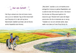 Sternenschweif, 76, Das Feenpony