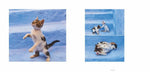 Katzen (Innenansicht)