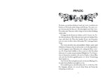 Wings of Ash 1. Schlafende Drachen (Innenansicht)