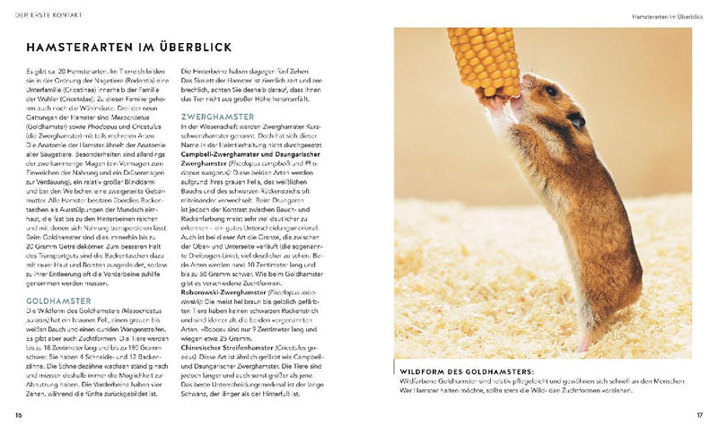 Hamster (Innenansicht)