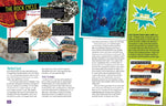 Absolute Expert: Rocks & Minerals