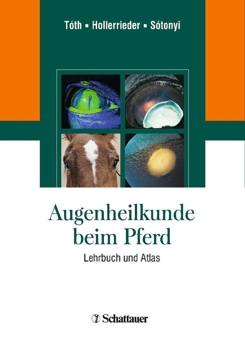 Augenheilkunde beim Pferd