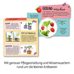 Feen-Erdbeeren (Innenansicht)