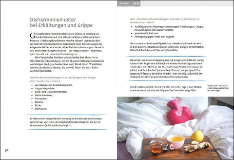 Grippe und Infekte (Yang Sheng 4)
