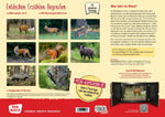 Eule, Fuchs und Hirsch. Tiere im Wald (Innenansicht)