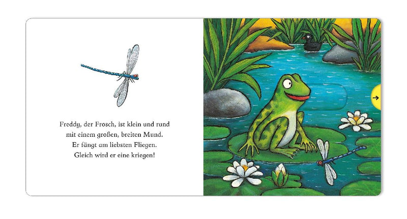 Freddy, der Frosch (Innenansicht)