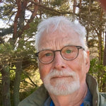 Ochse und Hirte