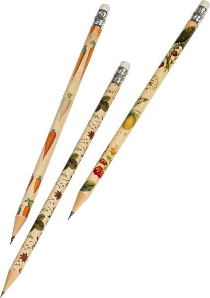 Kew Gardens Bleistifte in Geschenkschachtel