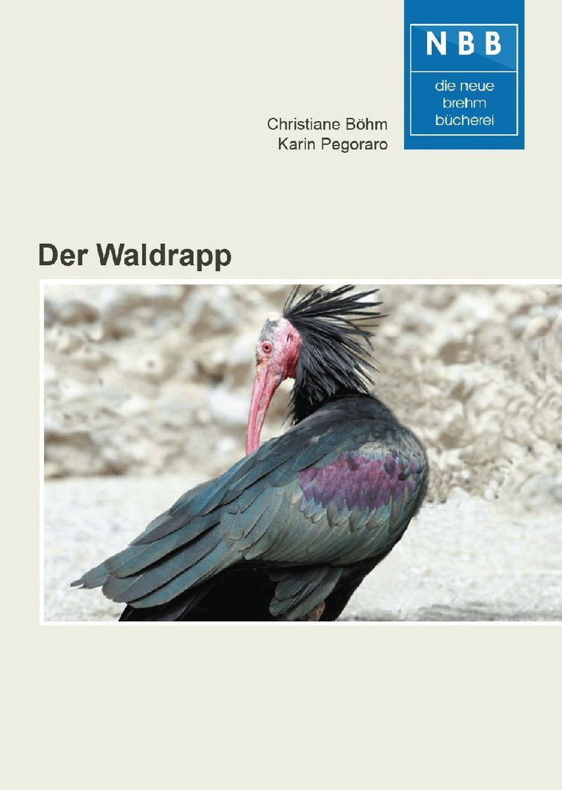 Der Waldrapp