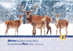 Hosentaschenadventskalender 2026 - mit Fotos