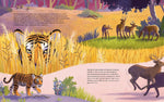 Der kleine Tiger - Zu Hause in Indien (Innenansicht)