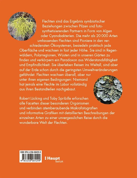 Flechten