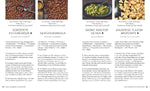 Vegetarische Mezze