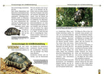 Die Breitrandschildkröte