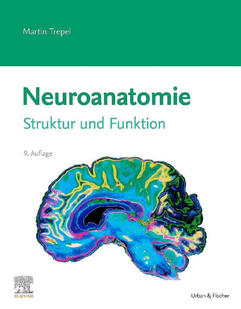 Neuroanatomie