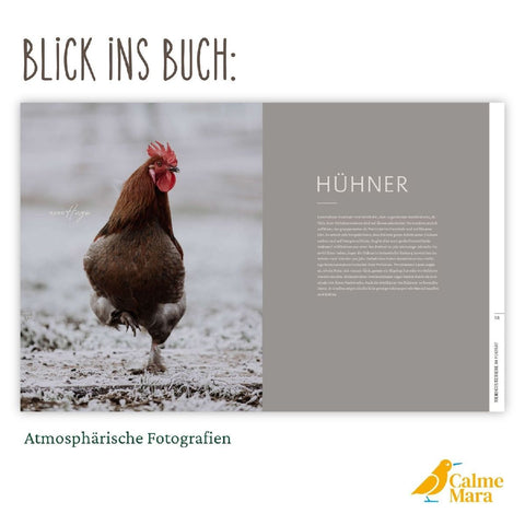 Tierschutztiere im Porträt