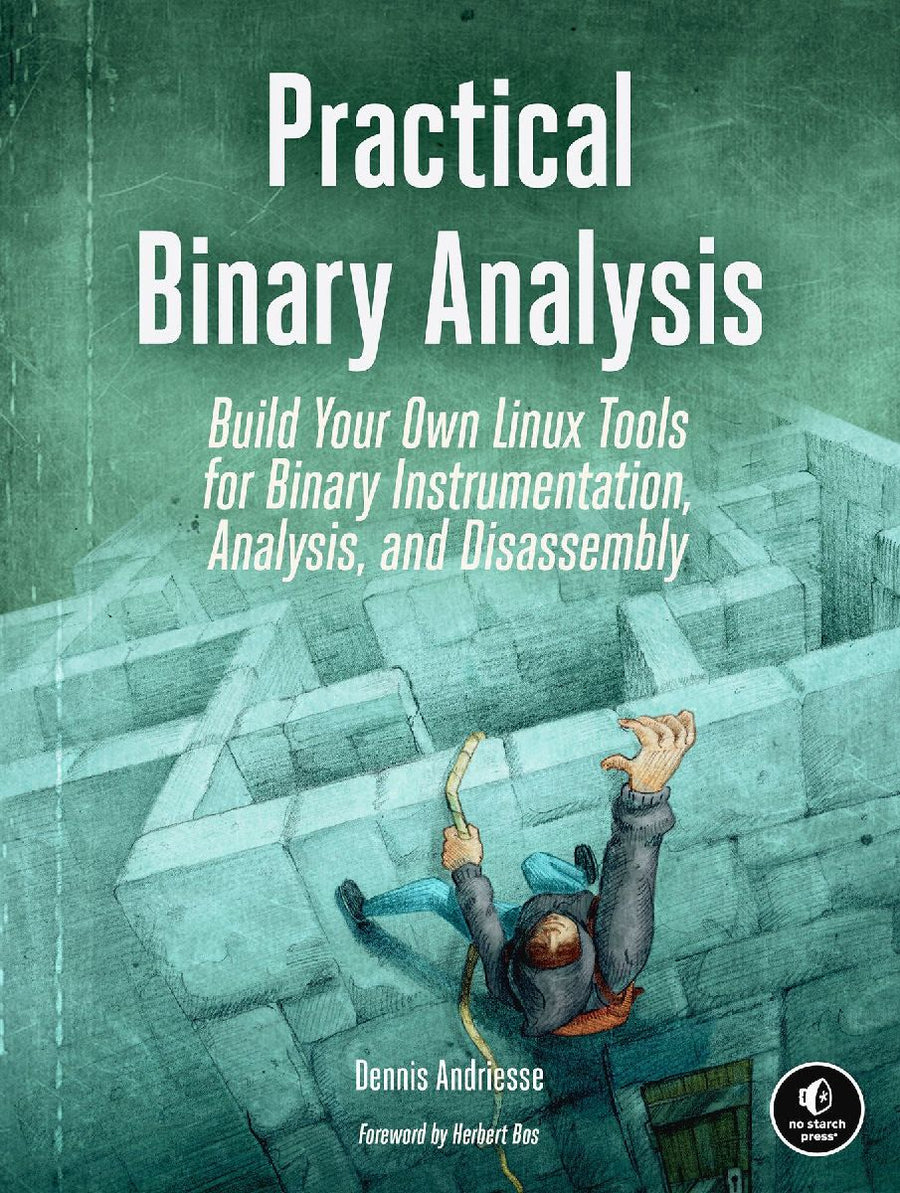Practical Binary Analysis